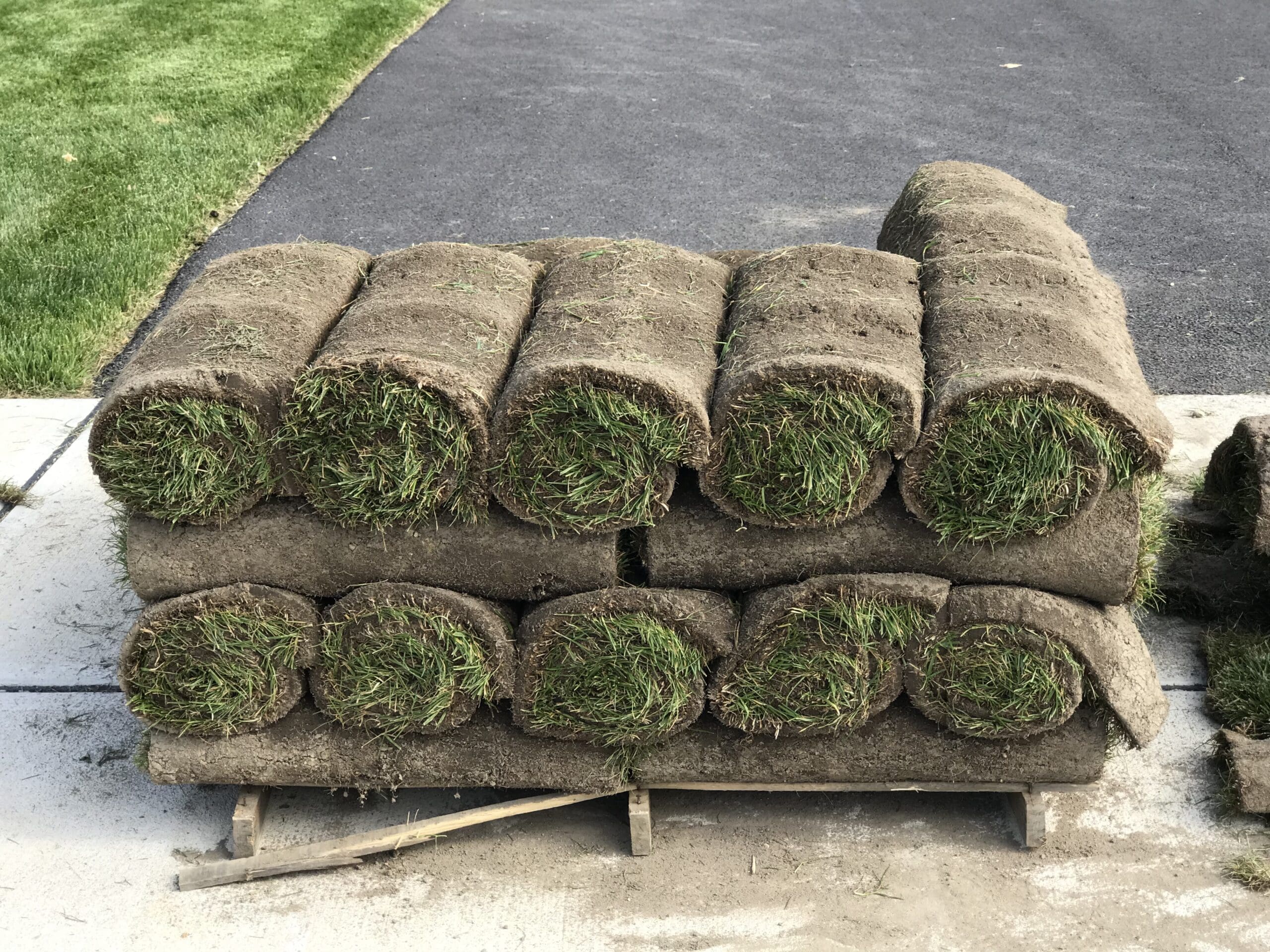How to Care for New Sod-Sod ready to be installed
