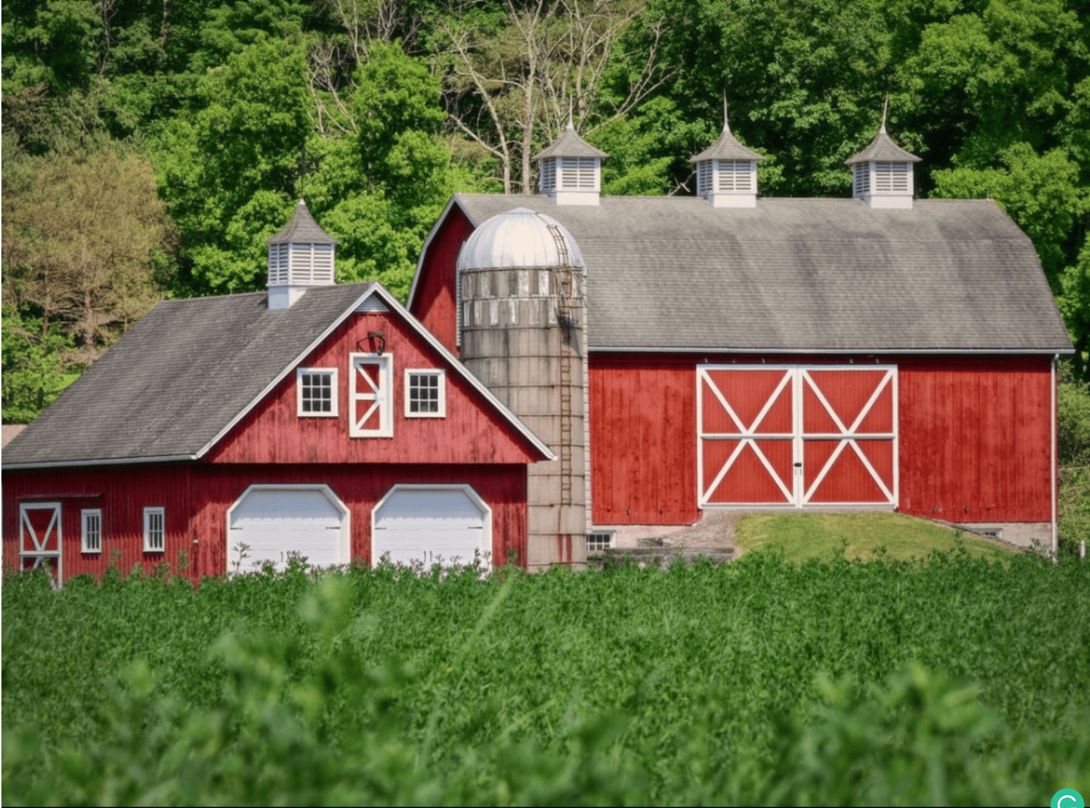 Why Are Barns Painted Red? - Red Barn
