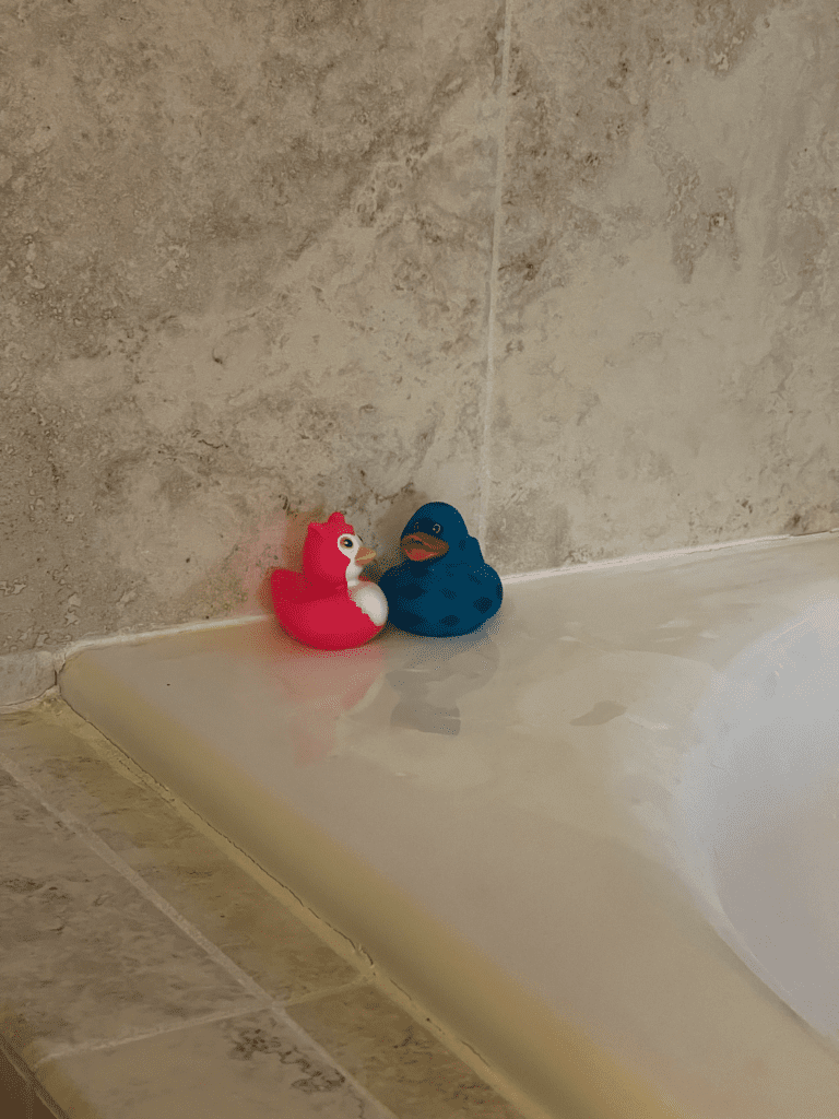 Ducks in Bathtub