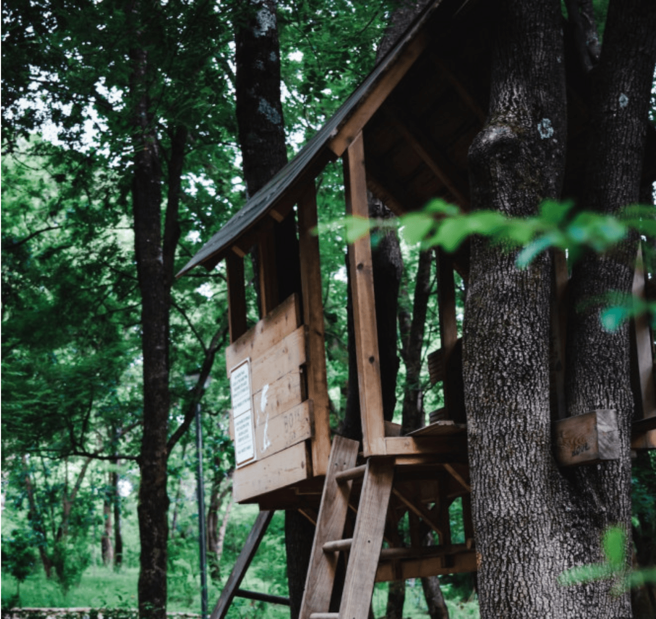 Are Tree Houses Illegal?