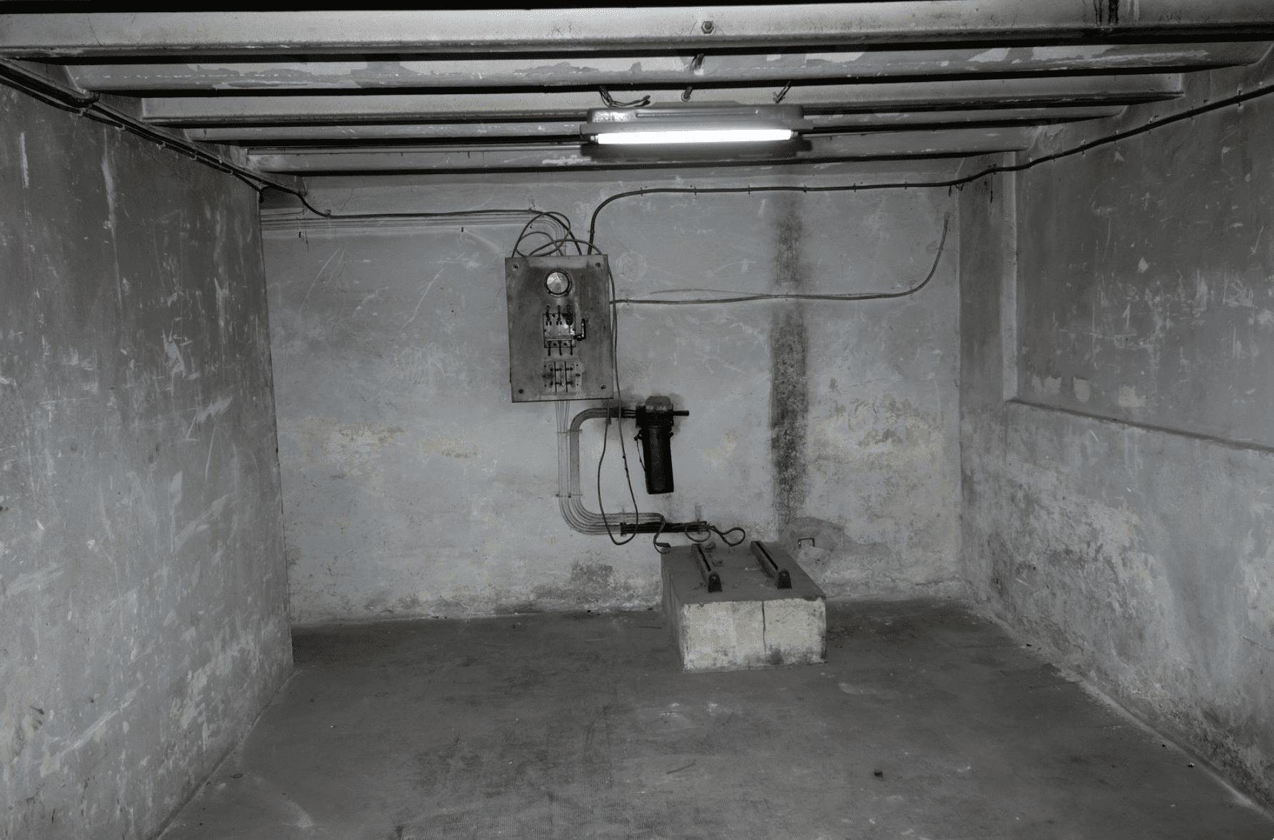 Basement or Cellar