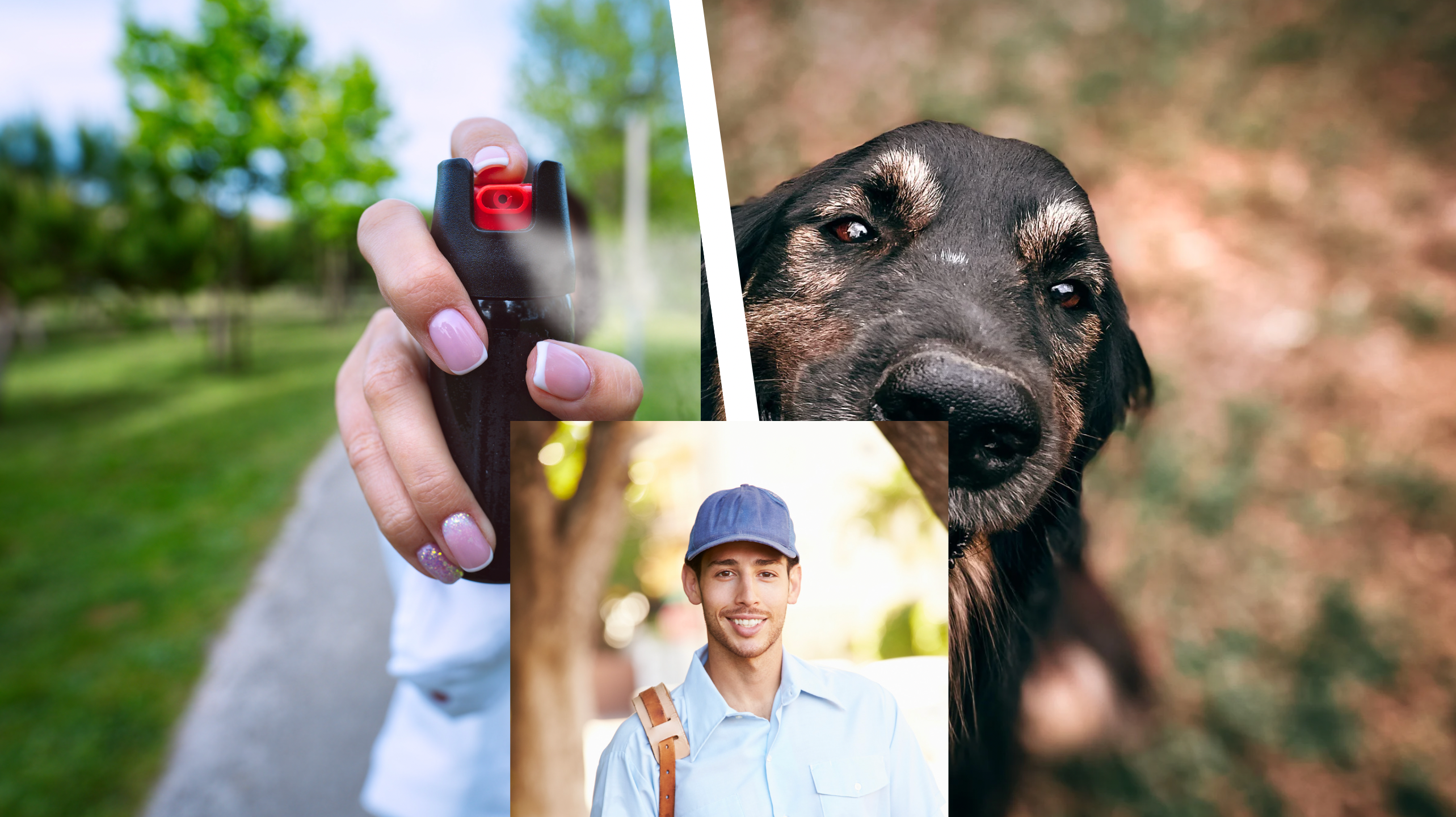 Is It Legal for a Mailman to Pepper Spray a Dog?